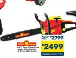 Pick n Pay Hypermarket WOLF Garden 45CC Petrol Chain Saw offer