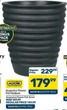 Pick n Pay Hypermarket ADDIS Acapulco Flower Pot Medium offer