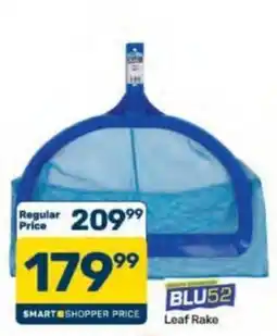 Pick n Pay Hypermarket BLU52 Leaf Rake offer