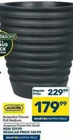 Pick n Pay Hypermarket Addis - acapulco flower pot offer