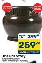 Pick n Pay Hypermarket Angolan pot large offer