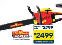 Pick n Pay Hypermarket WOLF Garden 45CC Petrol Chain Saw offer