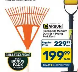 Pick n Pay Hypermarket Flat Spade Medium Duty or 4 Prong Fork offer