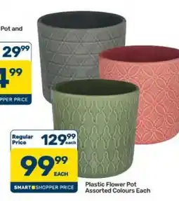 Pick n Pay Hypermarket Plastic Flower Pot offer