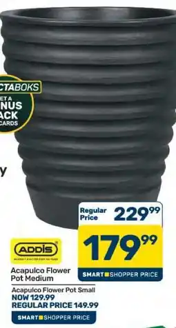 Pick n Pay Hypermarket Acapulco Flower Pot Medium offer