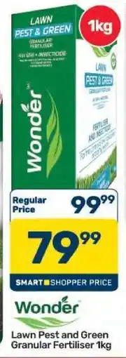 Pick n Pay Hypermarket Wonder Lawn Pest and Green Granular Fertiliser 1kg offer