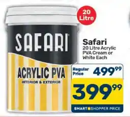 Pick n Pay Hypermarket Safari 20 Litre Acrylic PVA offer