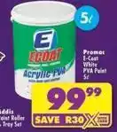 Shoprite Addis - acrylic pva paint offer