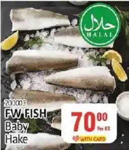 KitKat Cash and Carry FW FISH Baby Hake offer