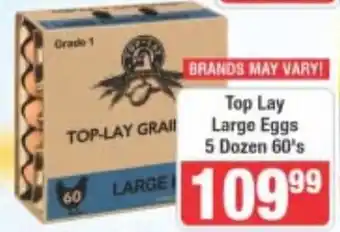 Top Lay Large Eggs
