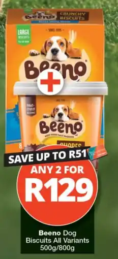 Checkers Beeno Dog Biscuits offer
