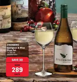 Makro STEENBERG Sauvignon & Wine Glass Set offer