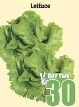 Boxer Lettuce offer