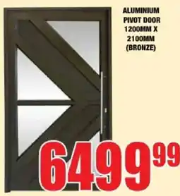 Boxer Build ALUMINIUM PIVOT DOOR offer