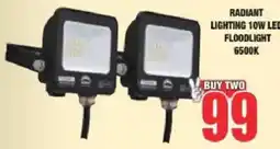 Boxer Build RADIANT LIGHTING 10W LED FLOODLIGHT offer
