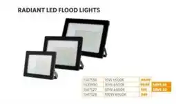 BUCO RADIANT LED FLOOD LIGHTS offer