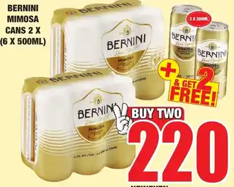 BERNINI Mimosa