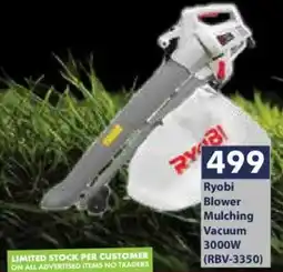 President Hyper Ryobi Blower Mulching Vacuum offer