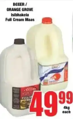 Boxer BOXER / ORANGE GROVE Full Cream Maas offer