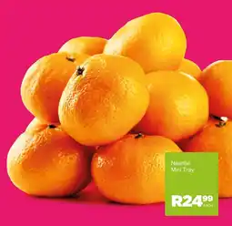 Save Hyper Naartjie Mini Tray offer