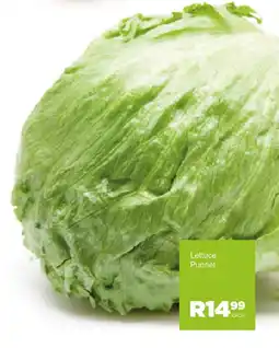 Save Hyper Lettuce Punnet offer