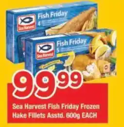 OK Grocer Sea Harvest Fish Friday Frozen Hake Fillets offer