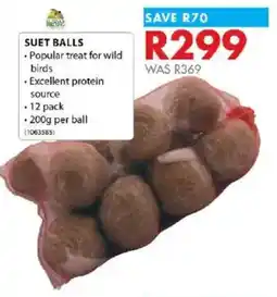 Chamberlain Suet Balls offer