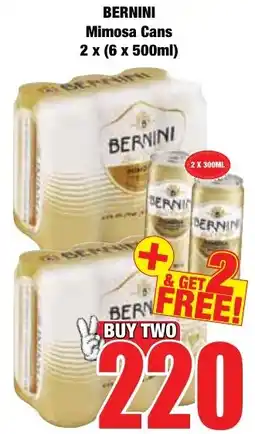 Boxer Superstores Bernini Mimosa Cans offer