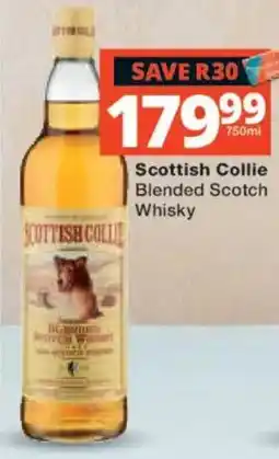 Checkers Liquor Shop Scottish Collie Blended Scotch Whisky offer