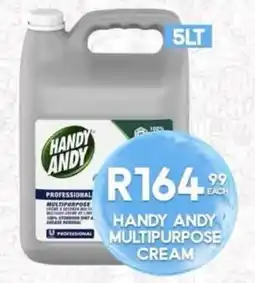 Take 'n Pay HANDY ANDY MULTIPURPOSE CREAM offer