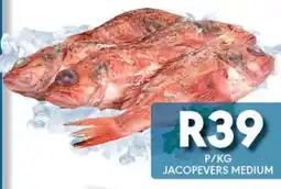 OBC Meat & Chicken JACOPEVERS MEDIUM offer