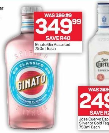 Pick n Pay Liquor Ginato gin offer