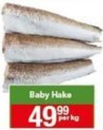 Baby Hake