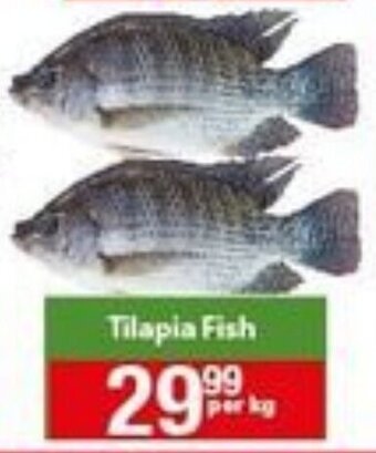Check Save Tilapia Fish offer