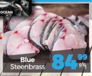 Take 'n Pay Blue Steenbrass offer