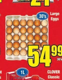 Boxer Eggs offer
