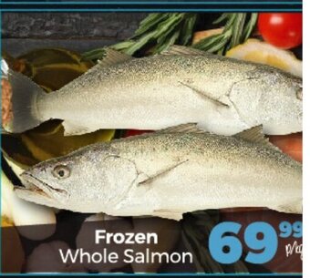 Take 'n Pay Frozen Whole Salmon offer