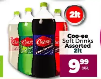 Coo-ee Soft Drinks Asstd 2lt