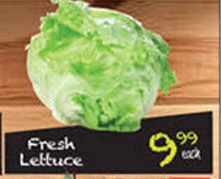 Take 'n Pay Fresh Lettuce offer