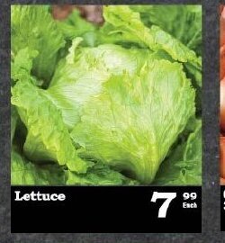 Oxford Freshmarket Lettuce offer