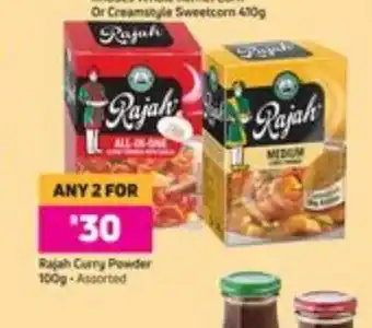 Rajah Curry Powder 100g