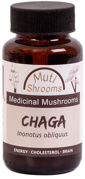 Muti shrooms chaga medicinal mushrooms