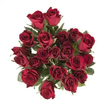 Woolworths Bulk roses 50 cm 20 stems offer