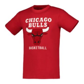 Sportscene Nba men's chicago bulls flock black t-shirt offer