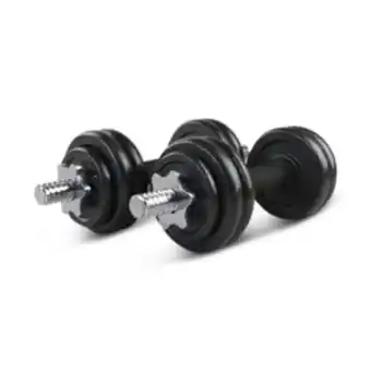 Everlast 20kg dumbbell set + x2 handles