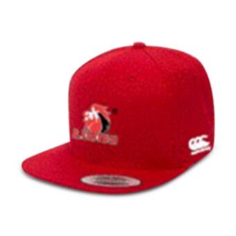 Totalsports Canterbury lions red supporter flat bill cap offer
