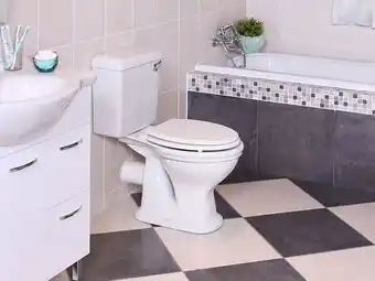 Constantia white front flush toilet suite
