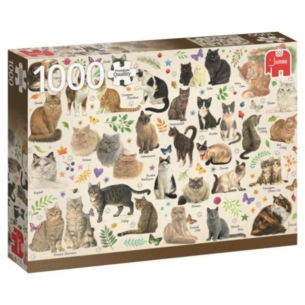 Toy Kingdom Cats poster offer