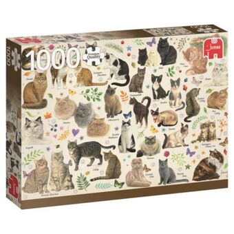 Cats poster