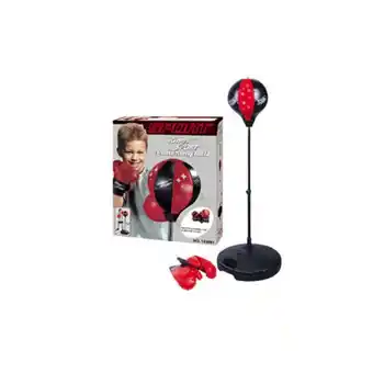 Kingsport punching ball and gloves